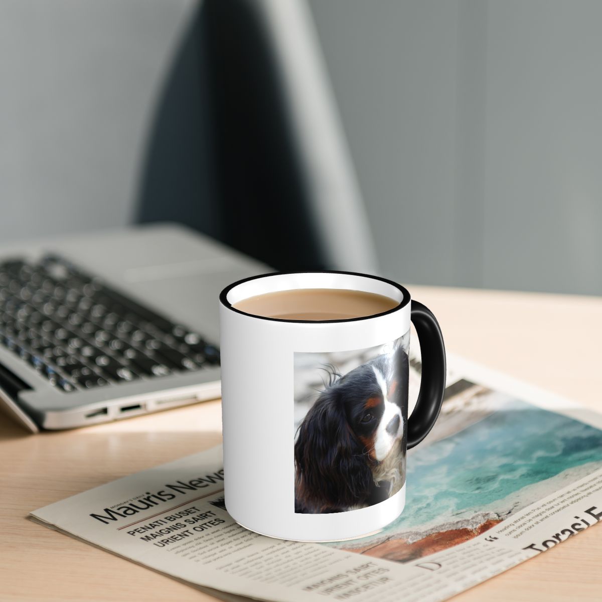 Tri Color Cavalier King Charle - Coffee Tea Photos recension och pris