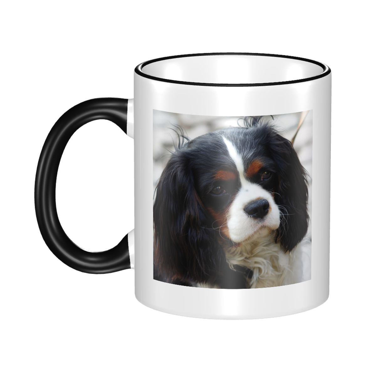 Tri Color Cavalier King Charle - Coffee Tea Photos recension och pris