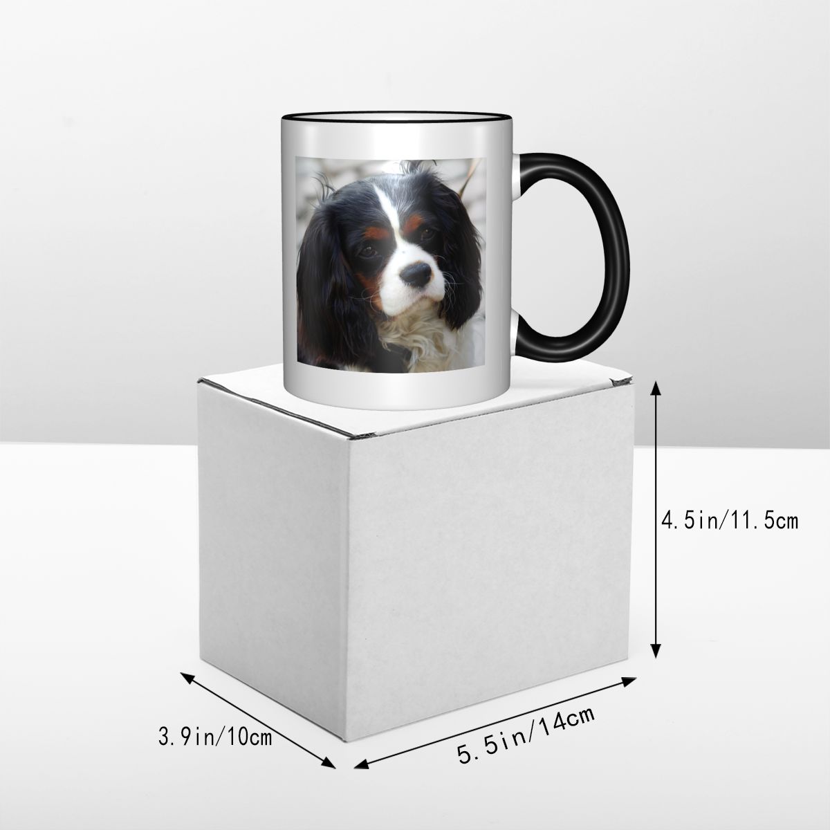 Tri Color Cavalier King Charle - Coffee Tea Photos recension och pris